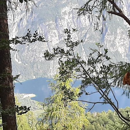 Apartma Bohinji-tó Kültér fotó